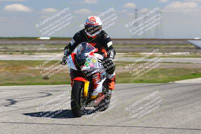media/Mar-23-2025-TrackDaz (Sun) [[88a7749186]]/C Group/1240pm (Wheelie Bump)/